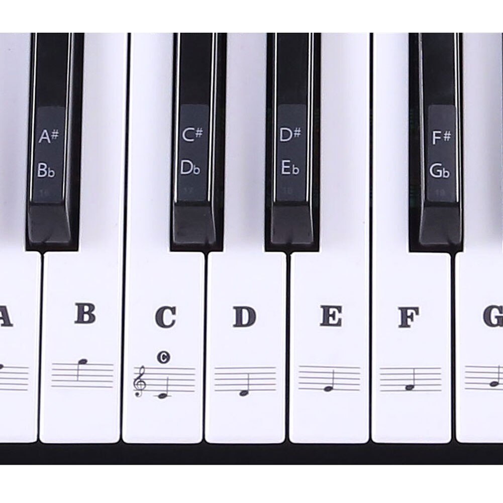 Biginners etiketti irrotettava tarra sauva piano näppäimistö pvc nuotti musiikki 54/61 näppäintä