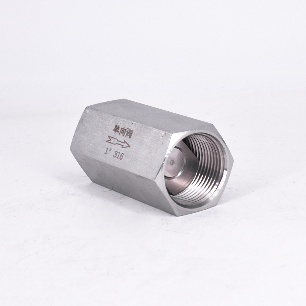 1/8" 1/4" 3/8" 1/2" 3/4" 1" BSP Female Hex One Way Check Valve Non-Return Inline 304 316 Stainless Steel