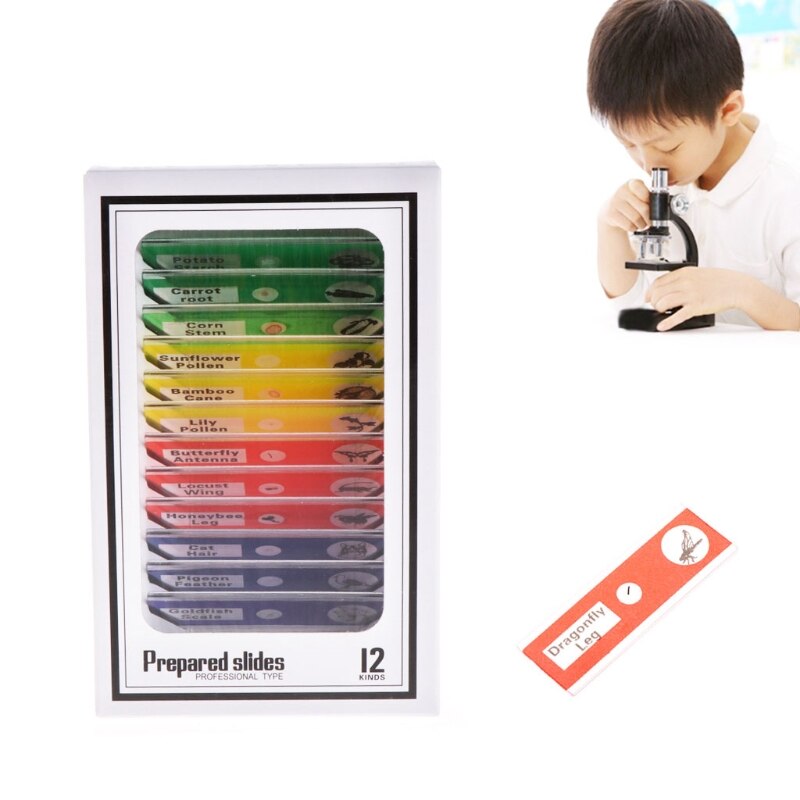 12Pcs Prepared Microscope Slides Set Specimen For Student Basic Biology Education
