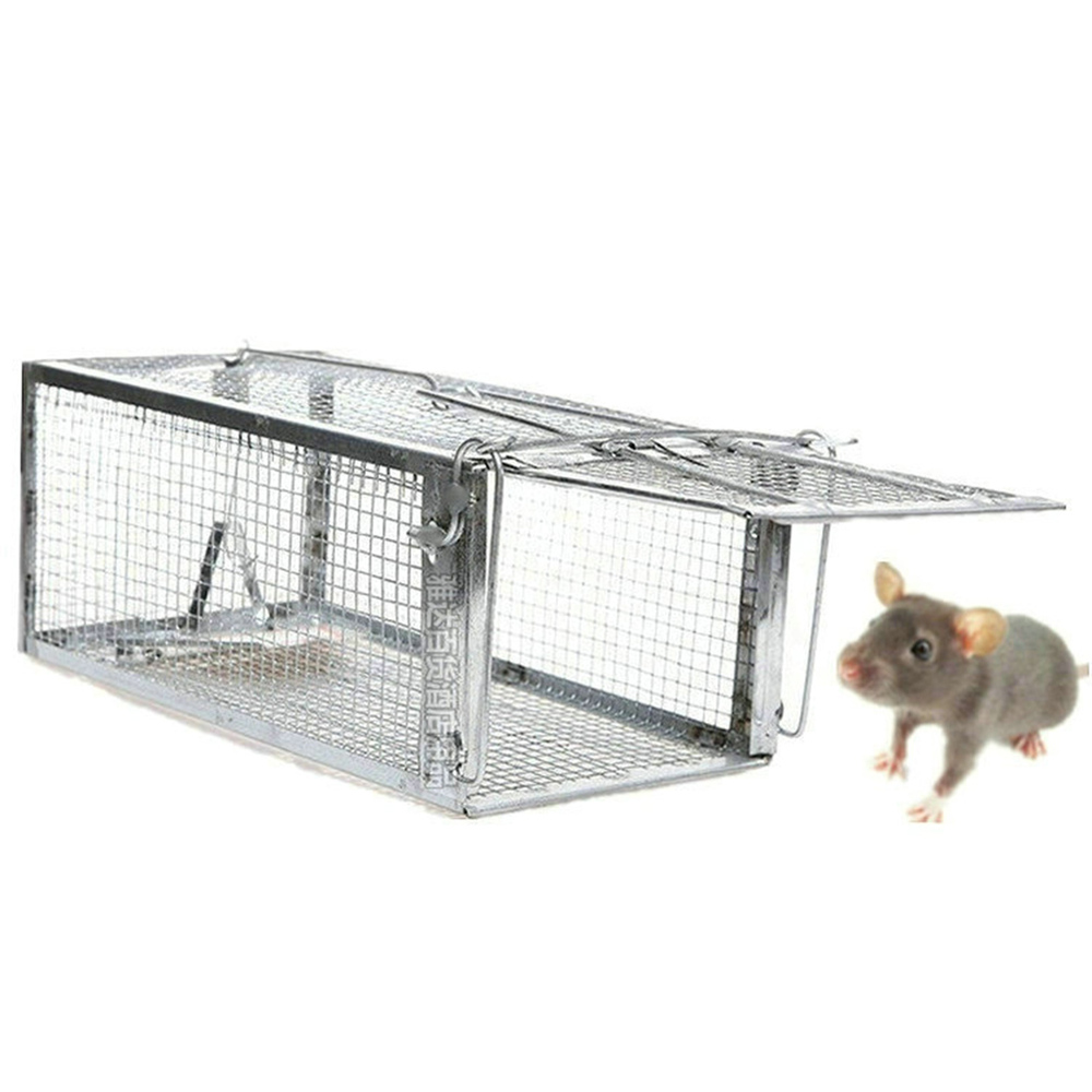 Piège à rats non toxique 1 pièce, piège à souris Transparent et humain, contrôle des rongeurs, appât pour Hamster, piège à souris: Chocolat