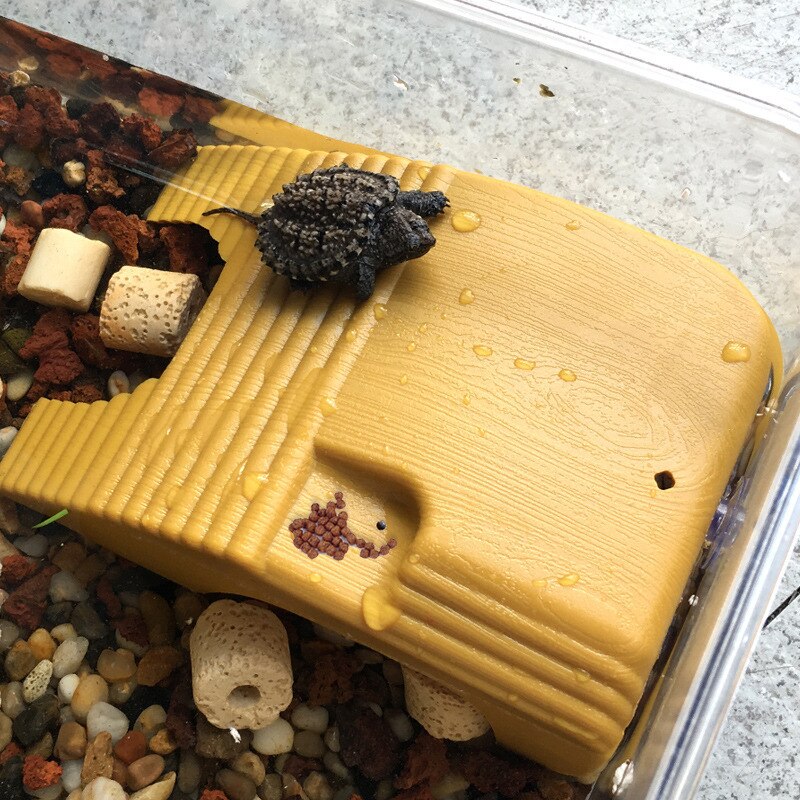 Aquarium Schildpad Klimmen Platform Reptiel Koesteren Amfibie Aquatic Klim Tank Trap Drijvende Supply Landschapsarchitectuur Platform