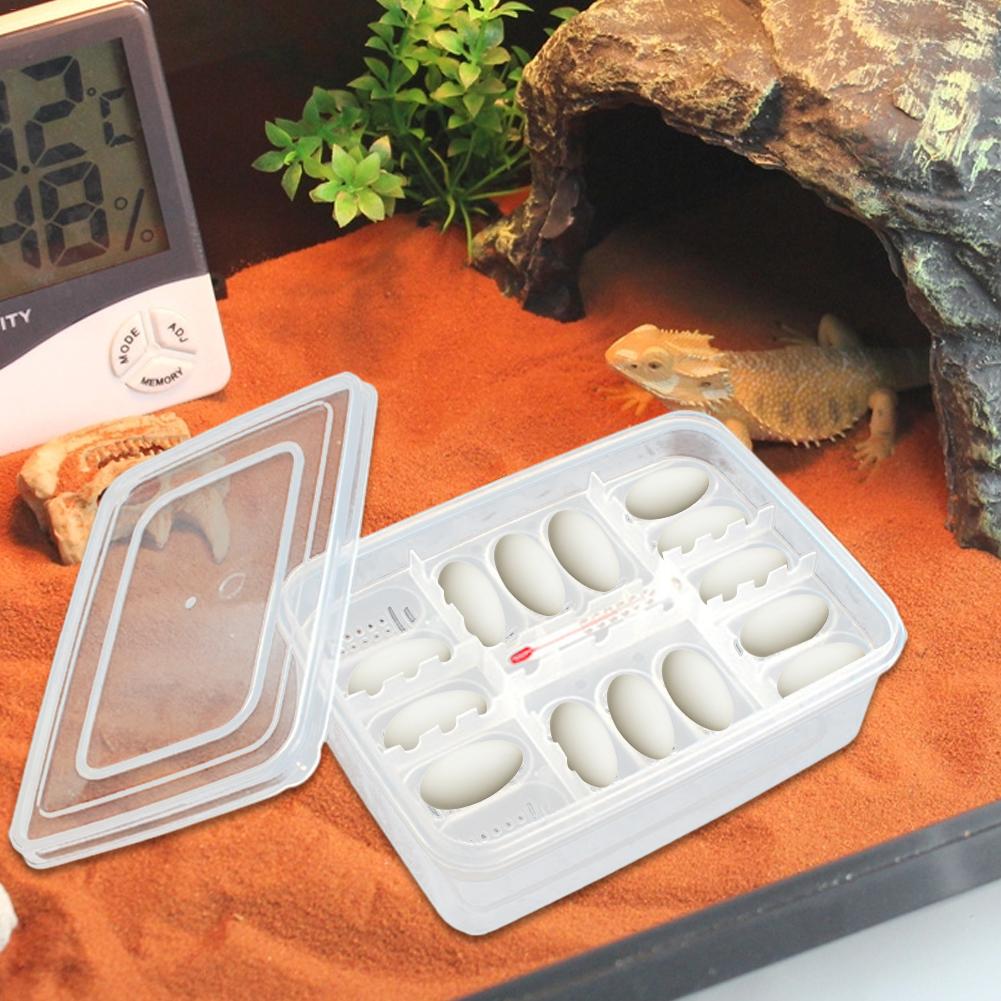 16 Grids Egg Hatching Guard Palace Snake Lizard Reptiles Hatching Egg Tray Reptile Hatching Breeding Box Incubator