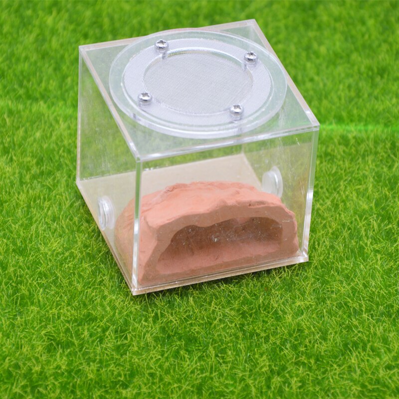 Imitation Ecological Ant Farm DIY Plaster Rockery Pet Ant Castle Landscaping Workshop Home Ants Farm House: SF-B001