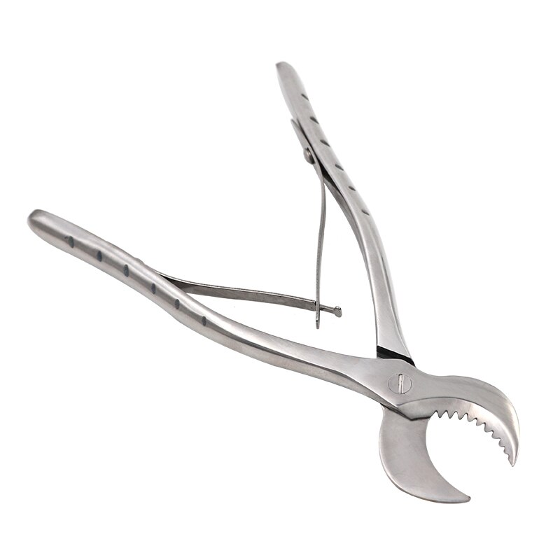 Dental Gips Scharen Scissiors Tandarts Lab Gereedschap Grote Roestvrijstalen Tang Instrument Gips Gips Schaar Materiaal