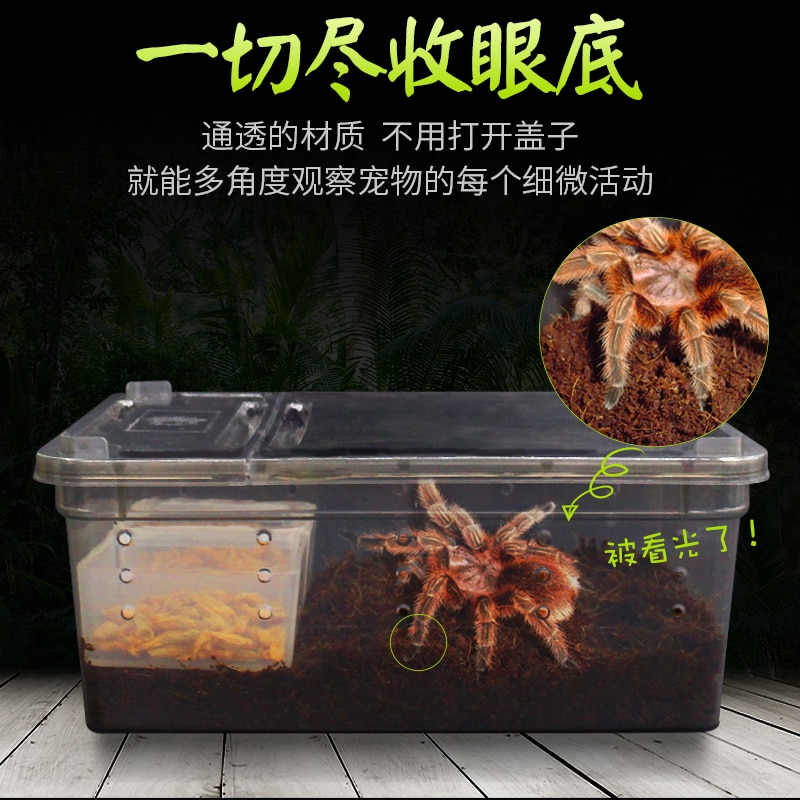 1PCS Climbing Pet Breeding Box Spider Frog Silkworm Baby Breeding Box Sericulture Yellow Mealworm Reptile Insect Box