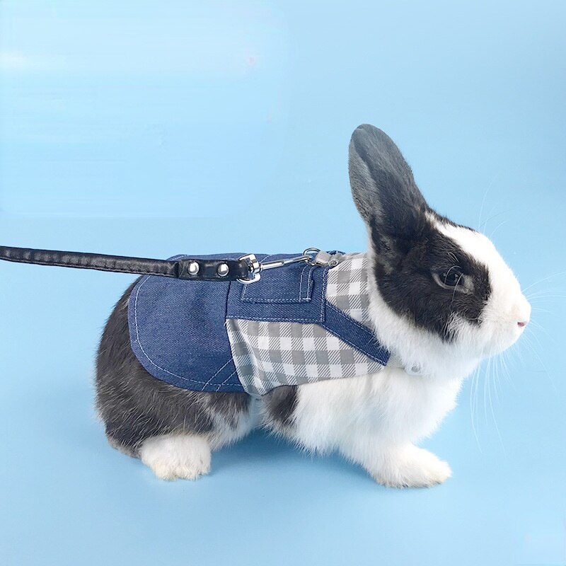 Vêtements pour animaux de compagnie, veste en Denim pour lapin, manteau, petit Animal, harnais, gilet, ensemble pour furet, lapin, Hamster, cochon d&#39;inde, accessoires pour animaux de compagnie