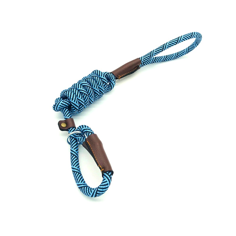 Durable Slip Rope Dog Leash Collar 2 In 1 Adjustable Loop Collar Comfortable Small Medium Large Pet Harness Leash: Blue / 180cm