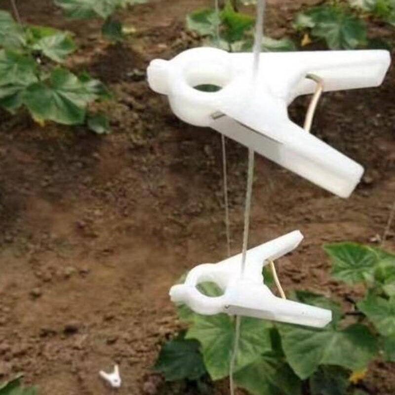 10 Pcs Garden Vine Clip 20mm/30mm Plastic Clips Flower Plants Shrubs Retaining Clip Grape Tomatoes Supplies Binding Tool