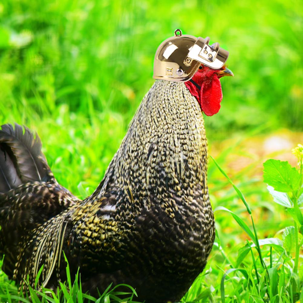 Pet Helmet Funny Chicken Helmet Head Protection Compact Chicken Hen Hard Hat