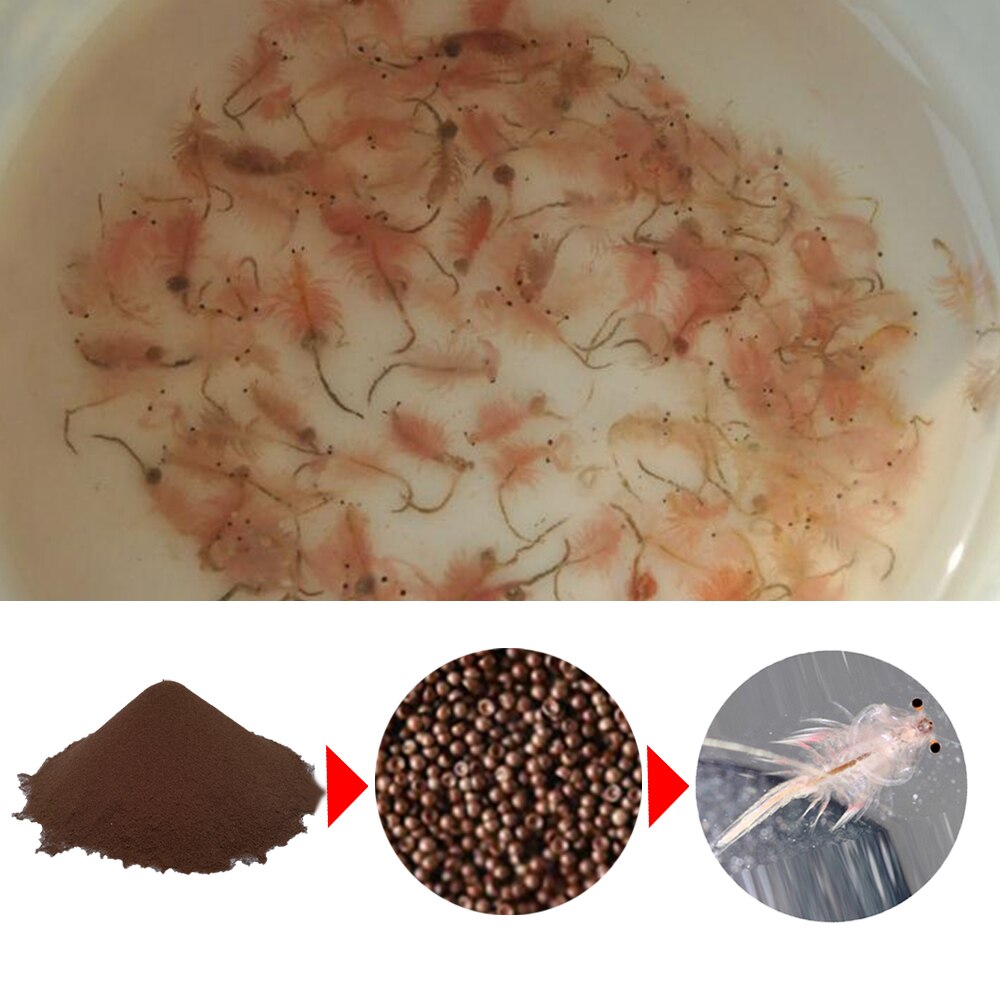 Artemia Shelling Brine Shrimp Egg Artemia Cysts 90% Hatch Rate Small Fish Feed Dried Daphnia Originating In Tibet Salt Lake