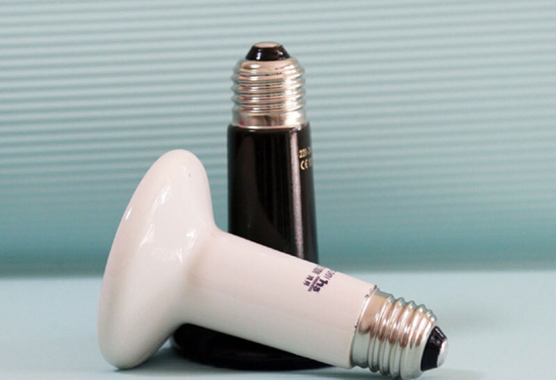 Ampoule de lampe chauffante pour couveuse | 75mm 25W/50W/70W/100W/150W/200W, supérieure, infrarouge noir, émetteur de lumière thermique, ampoule pour couveuse de Pet 220V E27