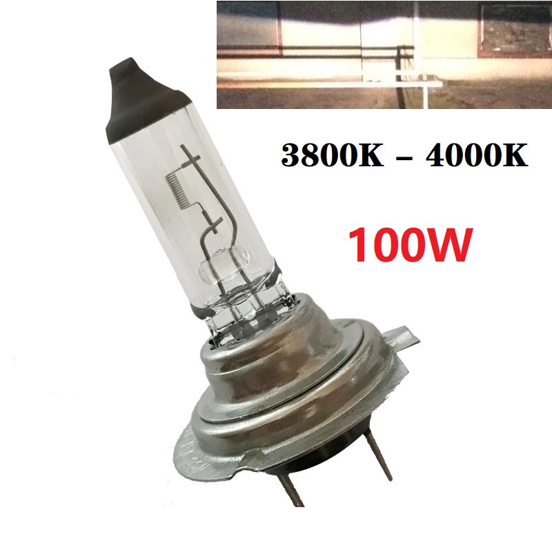 Riloer H3 Xenon Koplampen 2 STKS 12 V 100 W Mistlampen voor Voertuig, Super Wit Licht