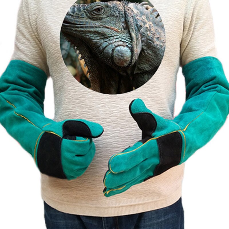 Gants de sécurité Anti-morsure 60cm | Gant de protection Anti-morsure, pour chien chat, Animal, très Long, en cuir, vert, pour animaux, gant de protection, pierreries