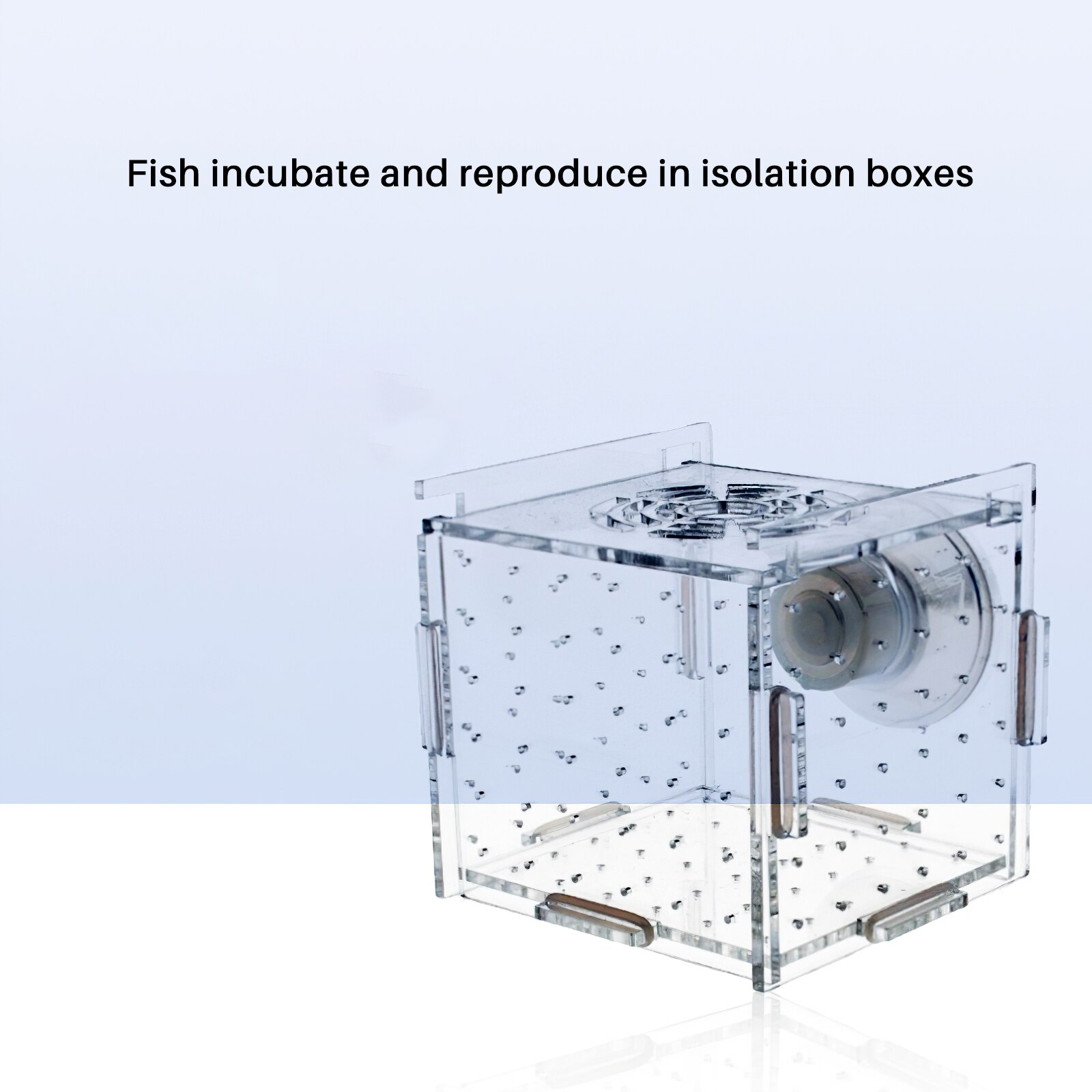 Acrylic Fish Breeding Box Transparent Isolation Box Breeder Portable Fish Hatchery Box Hatching Boxes Accessory For Pets Breed