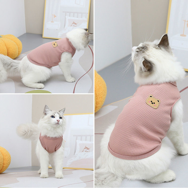 Urso colete roupas para cães de estimação gato sólido camiseta roupas cães fino pequeno moda chihuahua algodão verão kedi katten gato traje pug