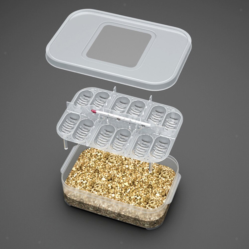 Pet Reptile Breeding Box Terrarium for Turtle Snake Lizard Spider Snake Frog Thermometer Or CM Reptile Egg Incubation Box