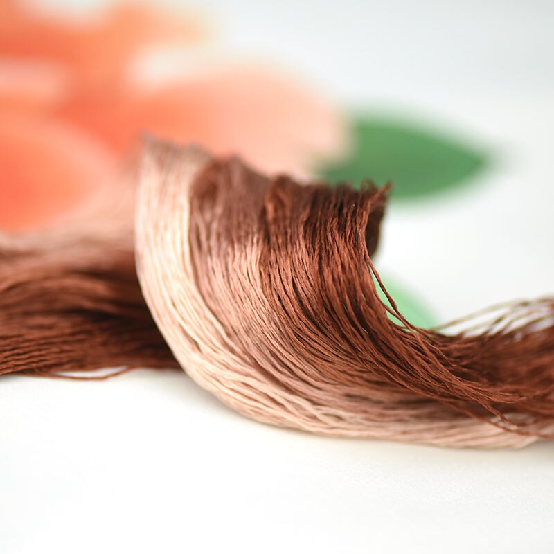 silk embroidery thread / 100% silk thread /hand embroidery embroider cross stitch/pine nut brown