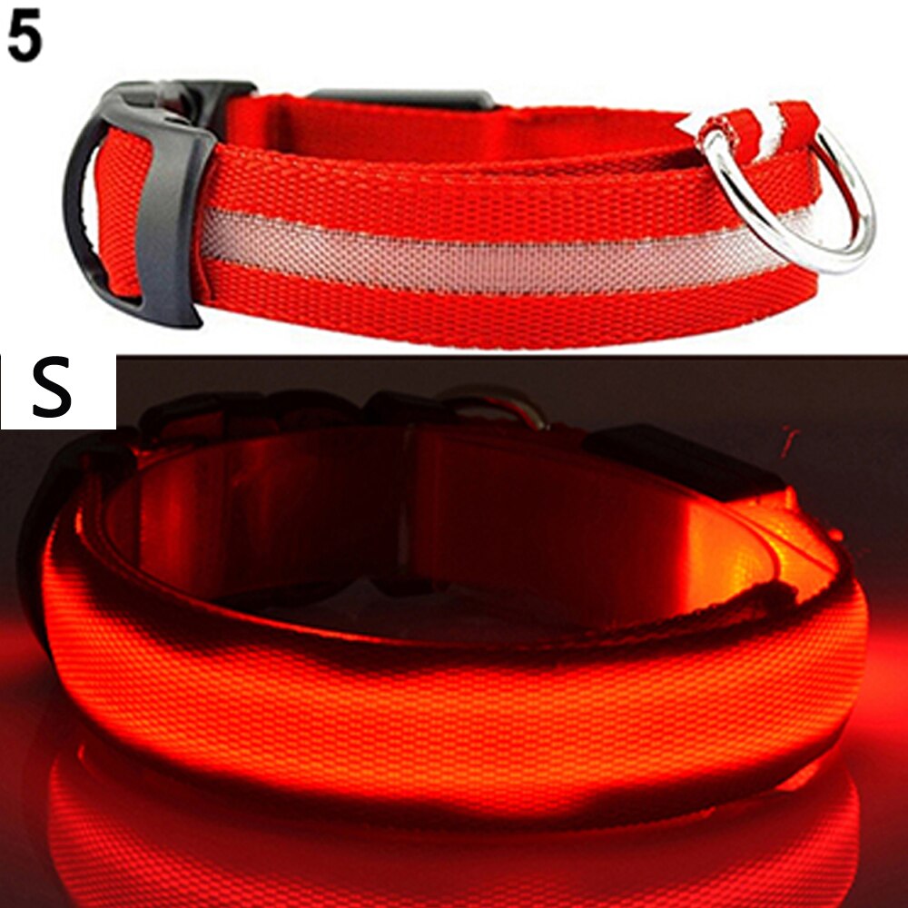 Led Veiligheid Halsband + 2 Batterijen Oplichten Huisdier Kraag Verstelbare Nylon Knippert Lichtgevende Ketting Puppy Anti-Verloren levert: Red S