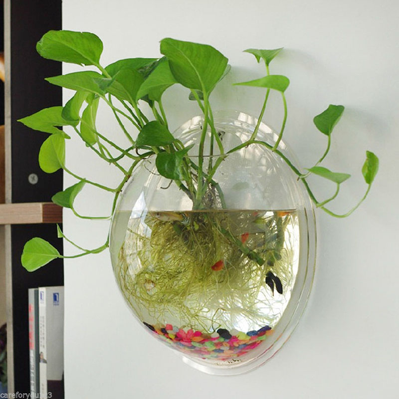 Jarrón de cristal Semicircular para colgar en la pared del hogar, acuario hidropónico para terrario, planta de flores, decoración del hogar, decoración de boda
