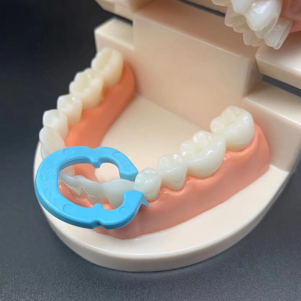 2Pair Dental Rubber Dam Clamps Sectional Matrix Band Resin Clamping/Seperating