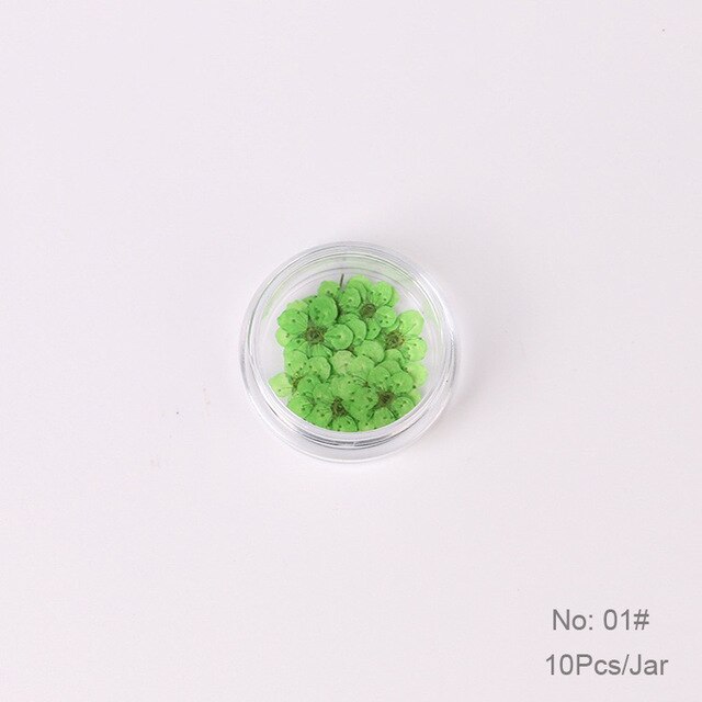 10 st  /1 box äkta nagelblommor gör-det-själv naturliga torkade blommor naglar konst dekoration torr flowe manikyr tillbehör blomdekaler: 01