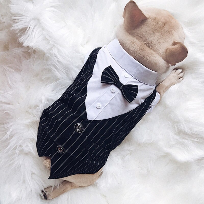 Hund bröllopskläder hundkostym smoking kläder för hundar kostym fluga husdjur kläder för hundar mops fransk bulldog katt husdjurstillbehör