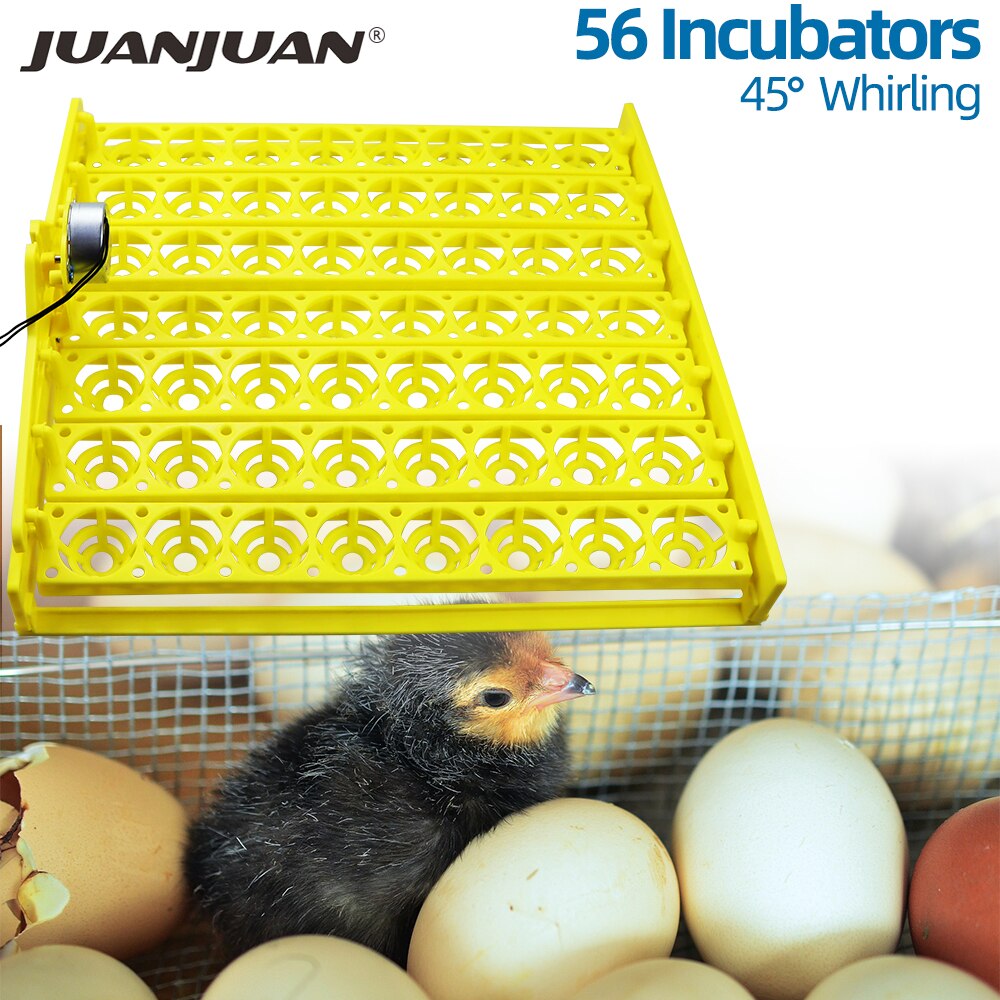 Incubadora de huevos automática, máquina de incubación de huevos de aves, pato, pollo, 56, 154, 220V, bandejas de incubadora con Motor de giro automático