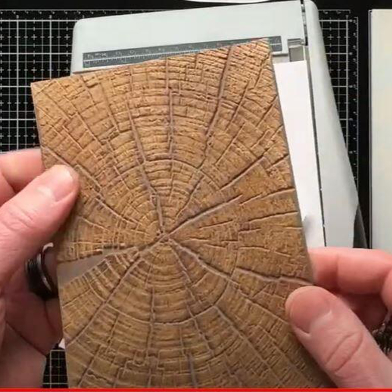 1 unique texture: embossed folder with beautiful patterns of tree rings - durable plastic, 3D , suitable for DIY scrapbook