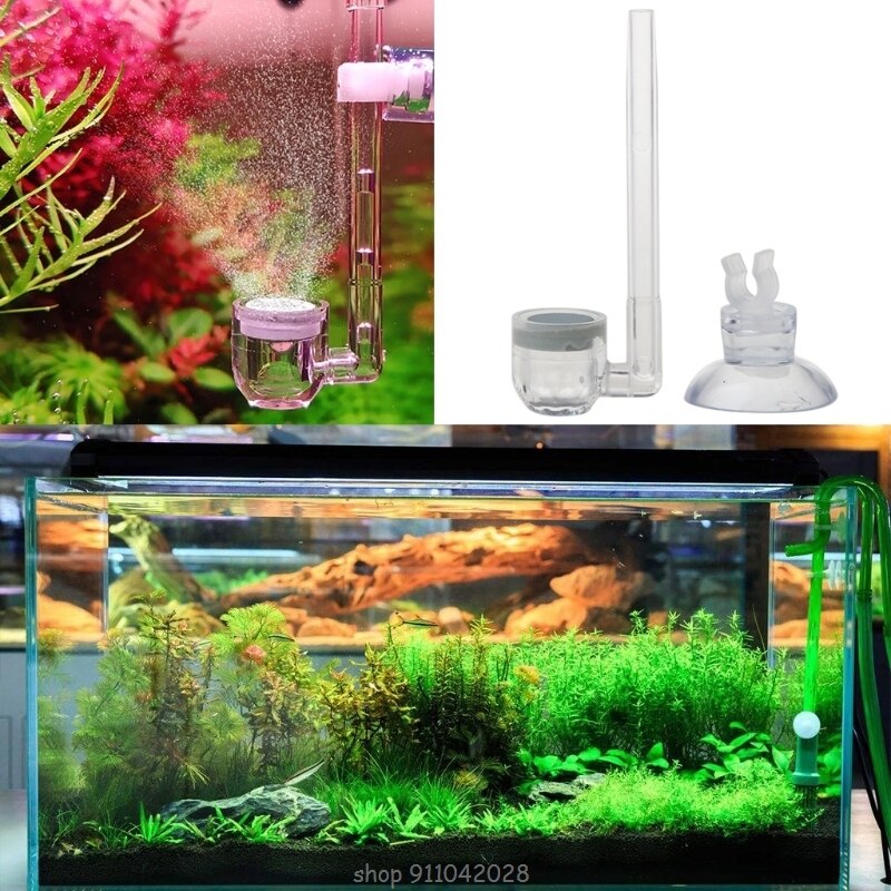 Gallery image with a fresh perspective