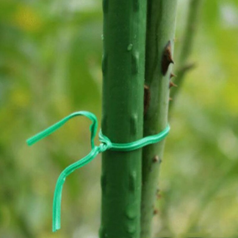 100 Uds., planta de amarre trenzado, alambre verde resistente para jardinería, Cable reutilizable, planta, bridas, flor, Rama, Clip de fijación