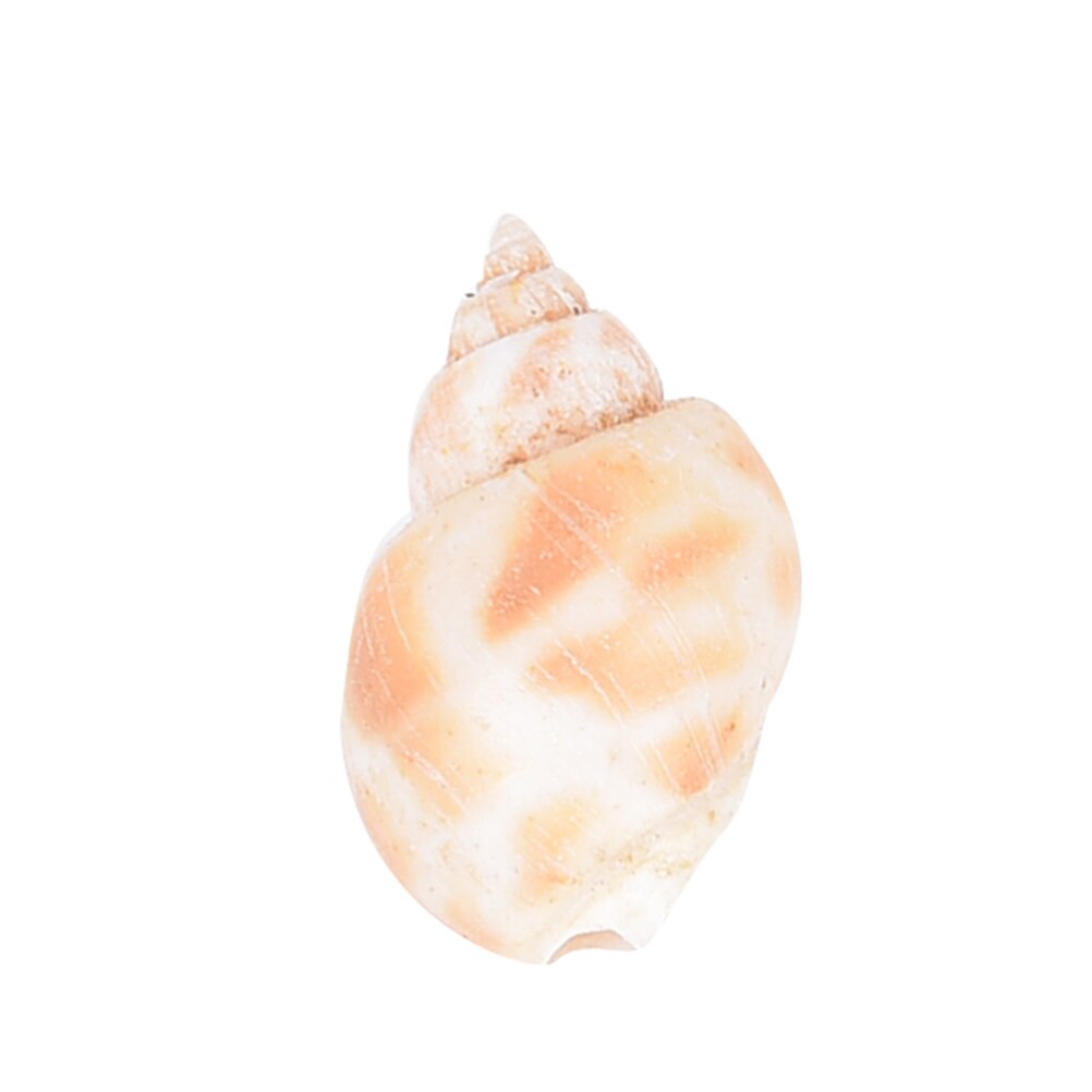 Aquarium Gemengde Bulk Schelpen Sier Strand Shell Tafel DIY Decor Craft