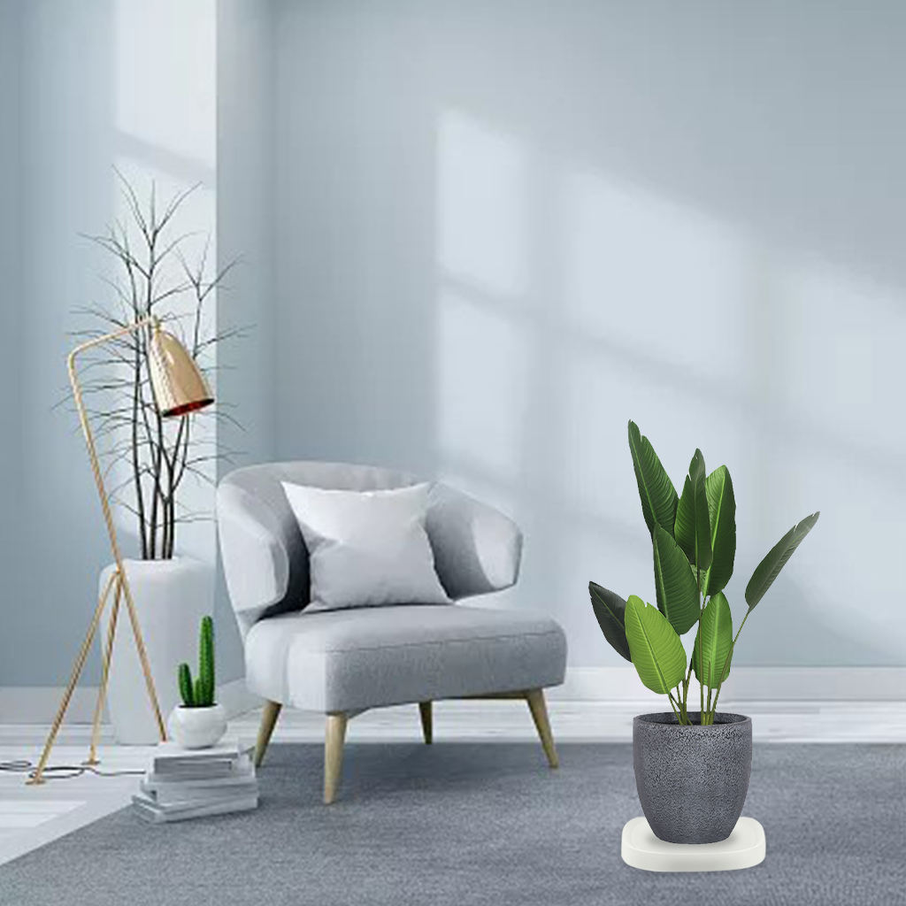 Mobiele Plant Caddy Roller Wielen Trolley Container Planter Caddies Voor Outdoor Indoor: White 4 Wheels L