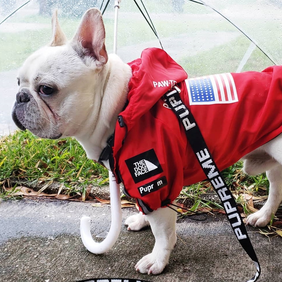 Ropa para Perro Adidog, Bulldog Francés, Pupreme, camisa para Perro, cortavientos, deporte Retro, Sudadera con capucha para Perro mascotas, Ropa para Perro