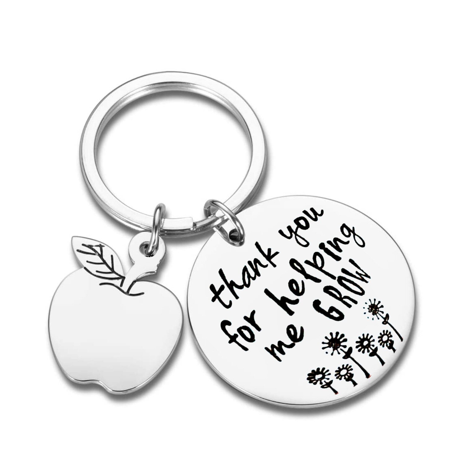 Laurea con souvenir ringraziamento festa degli insegnanti ciondolo mela in acciaio inossidabile portachiavi regalo artigianale: K629 mela