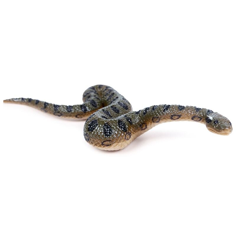 Jouet en Faux caoutchouc réaliste serpent du nord des états-unis, vert anacoda, accessoires d'halloween effrayants