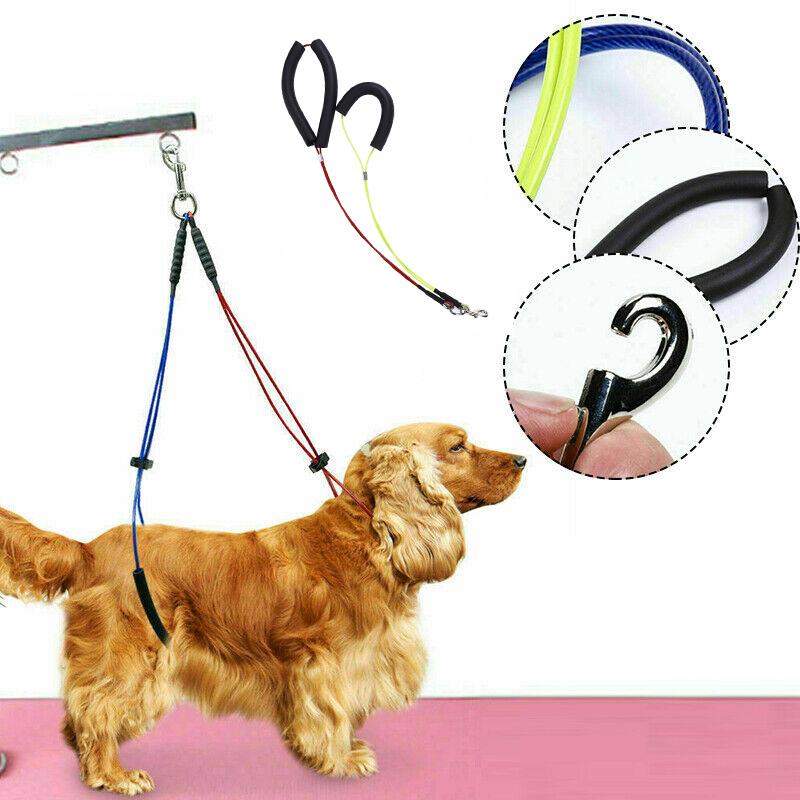 NEUE Hundesalon Schleife sperren Clip Seil Für Körperpflege Tisch Halterung Schlecht Hund Katze Ebene Schlinge nutzbar machen