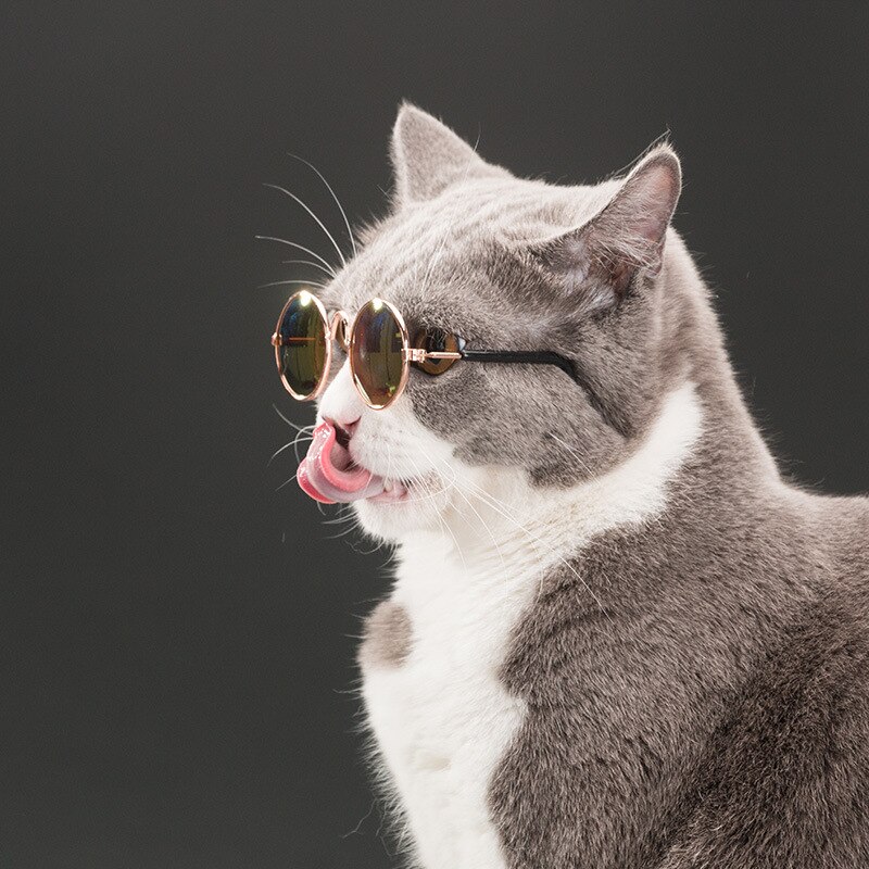 2 st stil katt solglasögon sommar hundar katter glasögon katt trimning glasögon skydd valp katter glasögon husdjur tillbehör