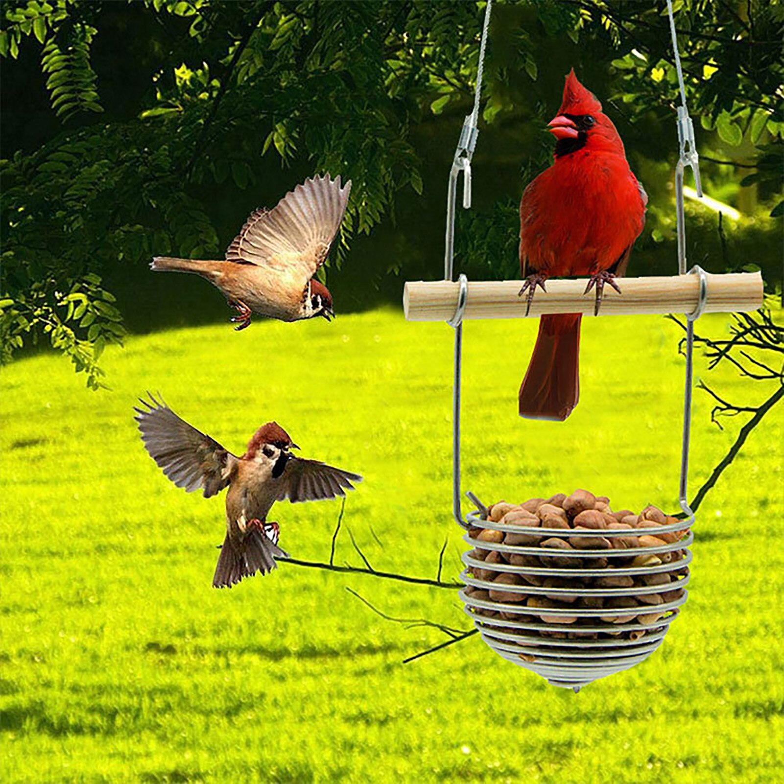Wild Birds Hanging Feed Holder Outdoor Bird Feeder Pet Parrot Food Feeding Durable Practical Pets Container Hanger Feeding Tool
