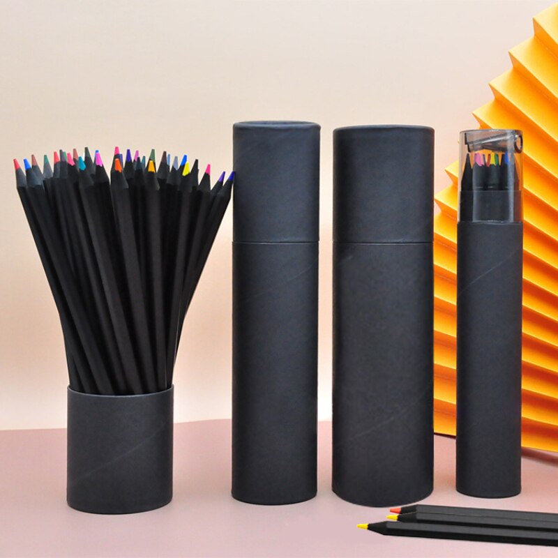 24 Colors Oil Art Pencil Sketching Drawing Adult Artist Non-toxic Colour