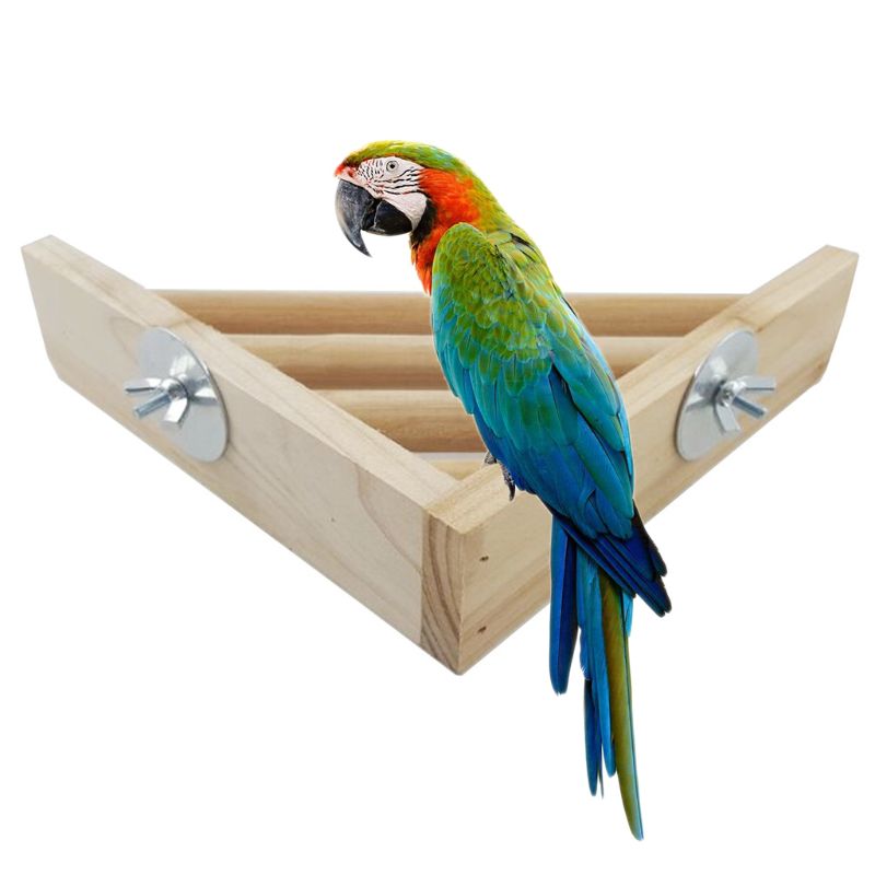 Haustier Holz Ecke Regal Leiter Plattform für Vogel KäFeige Stand Hamster Spielplatz