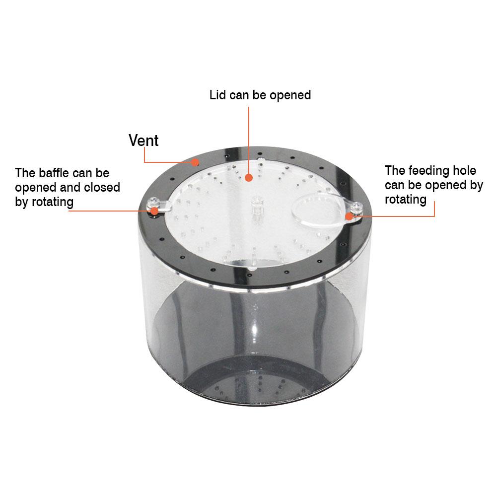 Acrylic Reptile Feeding Box Full View Insect Box Praying Lizard Reptile Home Insect Cage Reptile Terrarium Spider Breeding Box