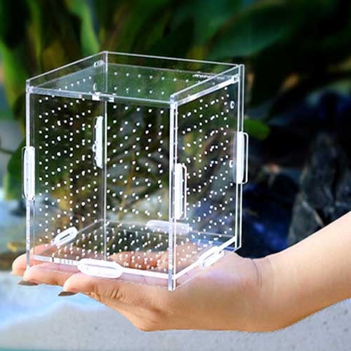 Aquarium breeding box Acrylic The fish tank Isolation box Isolation tank Breeding boxes Breeding boxisolation incubation one