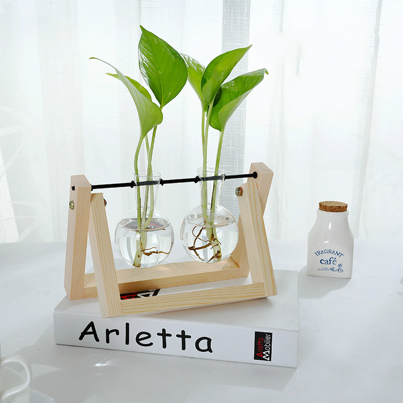 Terrarium hydrocultuur plant transparante vaas houten frame vaas decoratie glazen tafelplant bonsai decoratie bloemenvaas