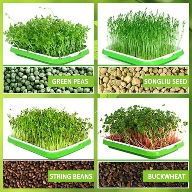 Bandeja de plantación hidropónica de plástico, bandeja de plantación de plántulas de guisante para el hogar, olla de germinación de brotes de soja, suministros de jardinería