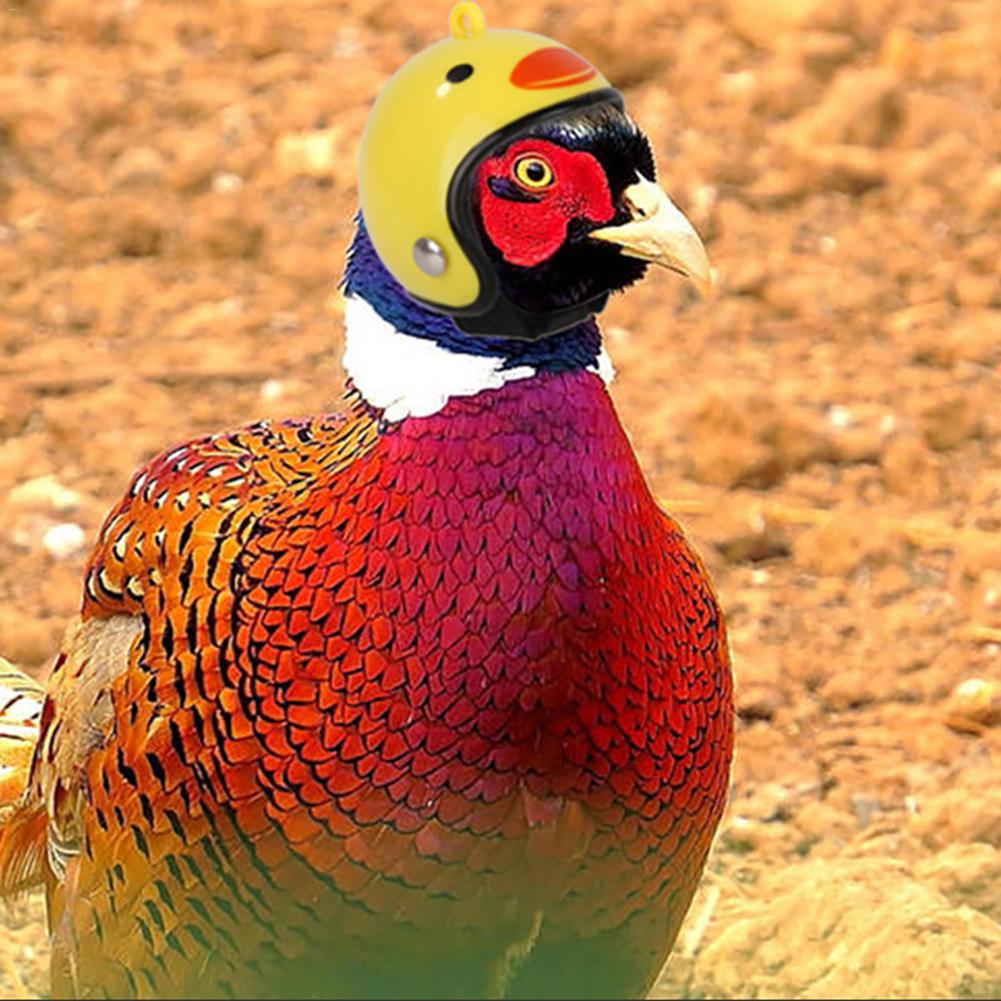 Cute Chicken Hat Chicken Helmet Protection Head Small Pet Hard Hat Bird Hat Headgear For Chicken Duck And Other Poultry