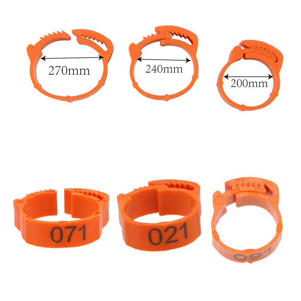 HILIFE For Chicken Duck Pigeon Color Randomly Foot Ring Buckle Ring Leg Digital Label Adjustable 100Pcs/set