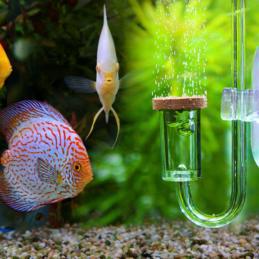 2 in 1 Acryl Transparante CO2 Diffuser Verstuiver Bubble Teller Aquarium CO2 Planten Water Gras Regulator