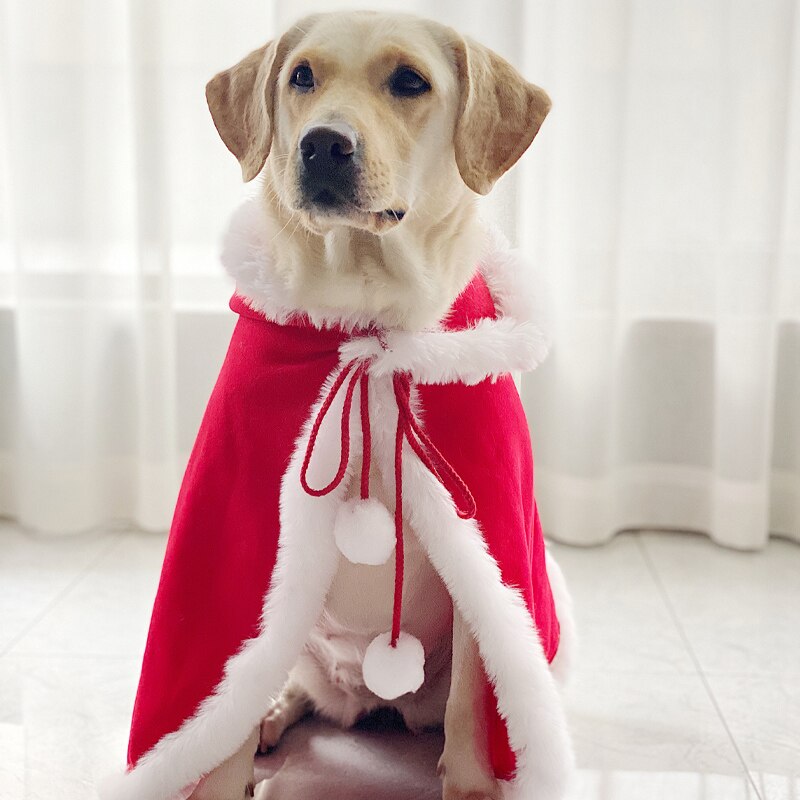 Disfraz de invierno para perro, gabardina grande para perro Samoyed, husky, Labrador, Golden Retriever, abrigo para mascota