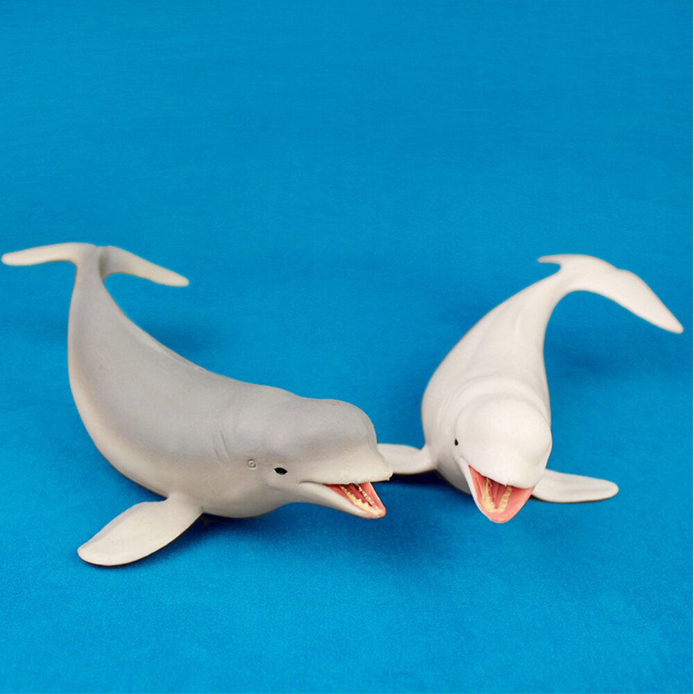 Leuke Beluga Witte Walvis Model Zee Leven Dieren Lifeliketoys Collecties Slaapkamer Decor Kinderen Kids Eduacational