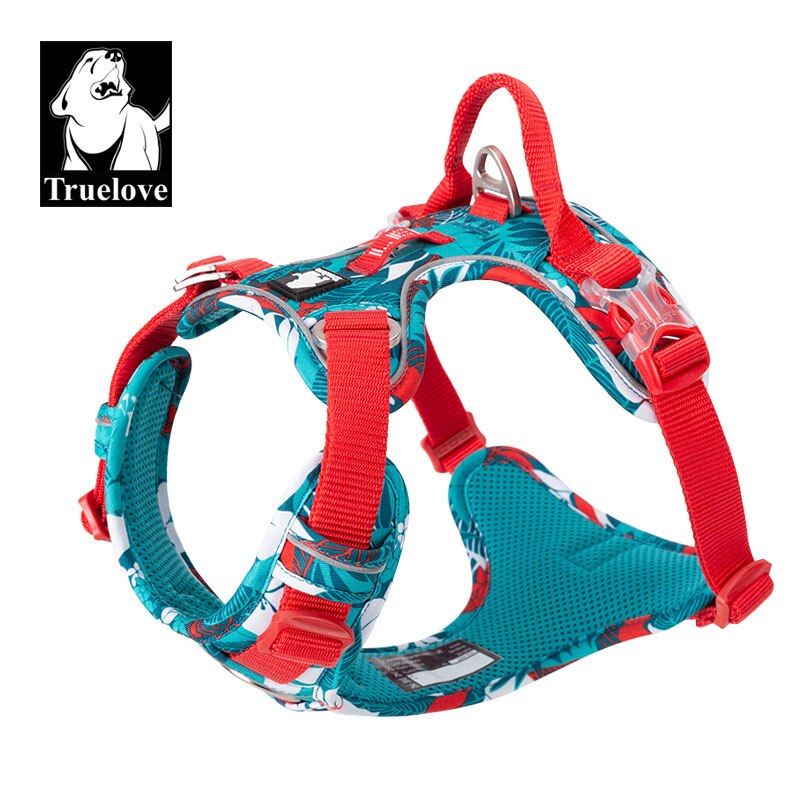 Harnais D'Entraînement Poney – Taille Moyenne/Grande – Nylon (Neuf)